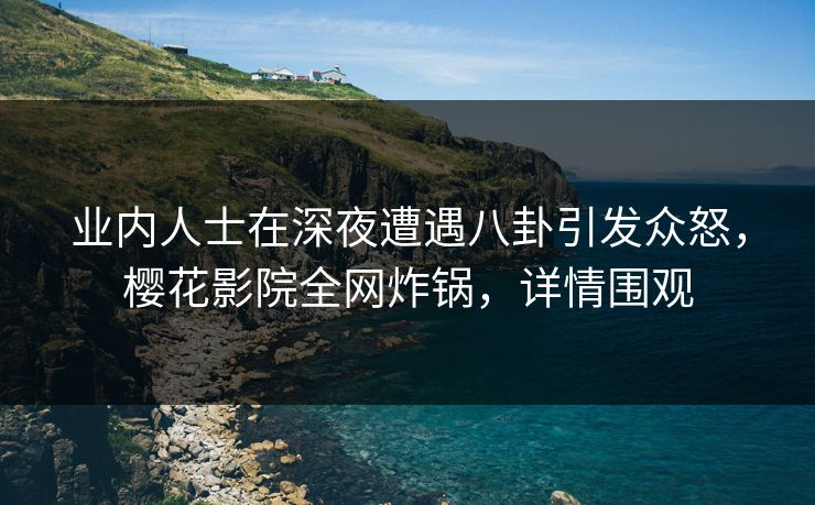 业内人士在深夜遭遇八卦引发众怒，樱花影院全网炸锅，详情围观